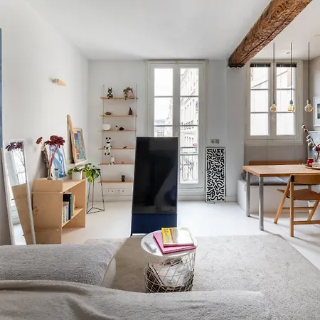 Stylish 1bd Duplex - Stunning Views Near Louvre Paris